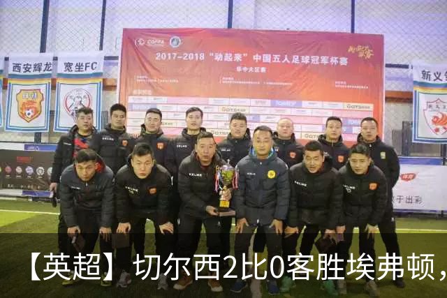 【英超】切尔西2比0客胜埃弗顿，内托双响大马丁伤退
