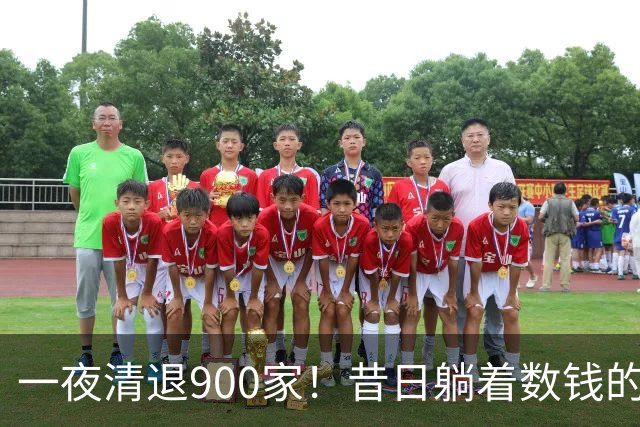 一夜清退900家！昔日"躺着数钱"的生意，如今被电商踩在地上摩擦