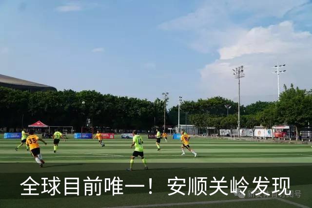 全球目前唯一！安顺关岭发现