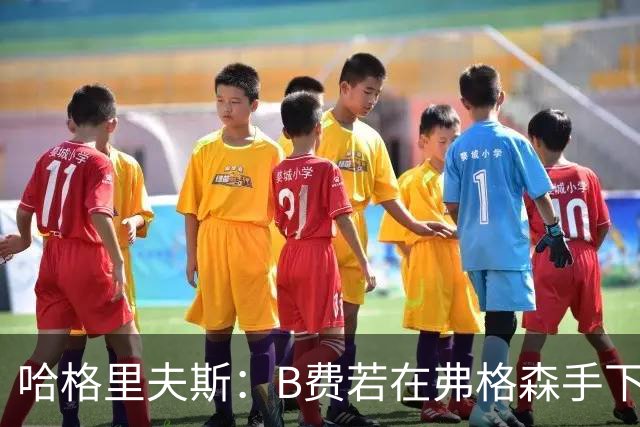 哈格里夫斯：B费若在弗格森手下说这话，就没机会再上场了