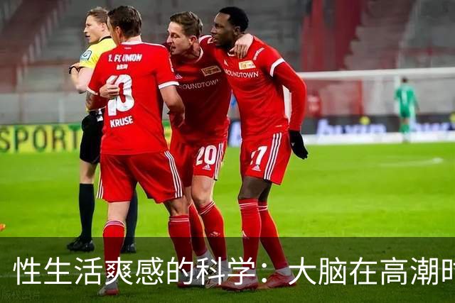 性生活爽感的科学：大脑在高潮时发生了什么？