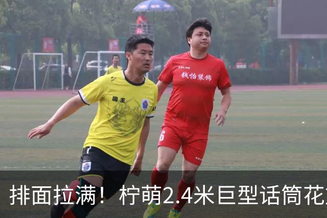 排面拉满！柠萌2.4米巨型话筒花篮，送到肖战演唱会现场