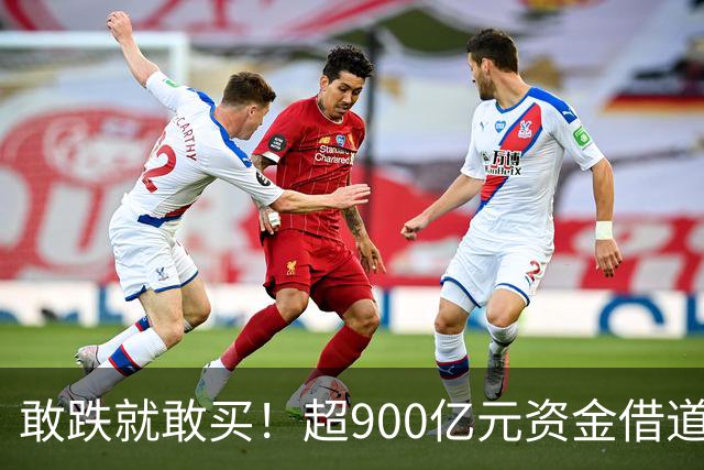 敢跌就敢买！超900亿元资金借道ETF蜂拥进场，除了沪深300，这些主题ETF也被大手笔买入