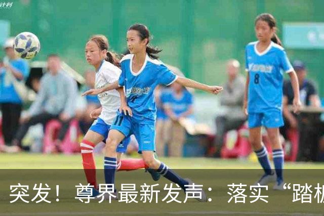 突发！尊界最新发声：落实“踏板升级”，未提“召回”