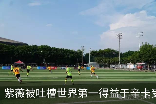 紫薇被吐槽世界第一得益于辛卡受伤，梅总发声力挺：排名100%公平