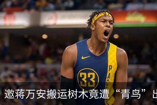邀蒋万安搬运树木竟遭“青鸟”出征，清洁队长：我好内疚、很难过