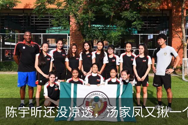 陈宇昕还没凉透，汤家凤又揪一个“精日”人员：竟然还是公司老板