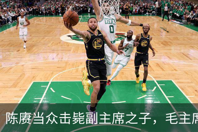 陈赓当众击毙副主席之子，毛主席一言不发，就送了一箱东西
